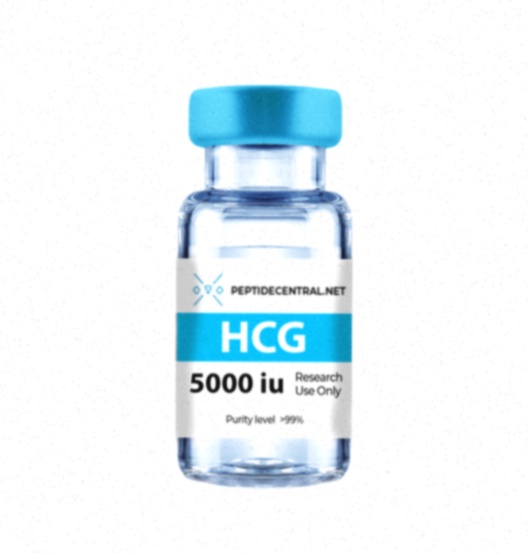Acheter HCG en ligne - Illustration médicale HCG