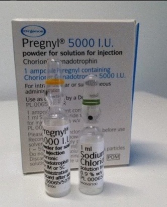 Achat Pregnyl - traitement hormonal injectable